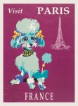 Paříž Francie cestovní plakát