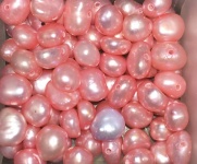ピンクの淡水真珠
