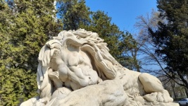 Spoczynkowy posąg lwa