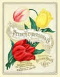 Catálogo de sementes de flores vintage