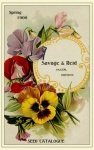 Catálogo de sementes de flores vintage