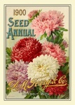 Catalogo delle sementi Stampa vintage