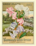 Catalogue de semences Vintage Print