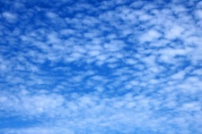 Small White Cloud Tufts In Blue Sky