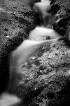 Stream flow in black and white