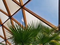 Dach tropikalnej szklarni