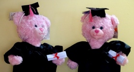 University Graduate Plush Soft Toys