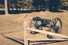 Vintage cannon