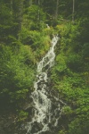Cachoeira em uma floresta