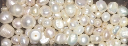 Perlas blancas de agua dulce