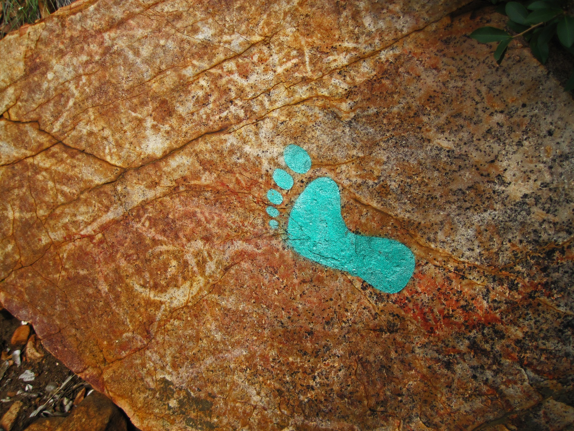 Green Footprint On A Rock