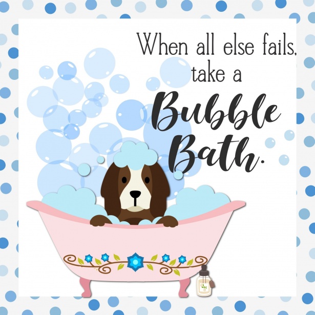 Dog Bubble Bath Royalty-Free Images, Stock Photos & Pictures