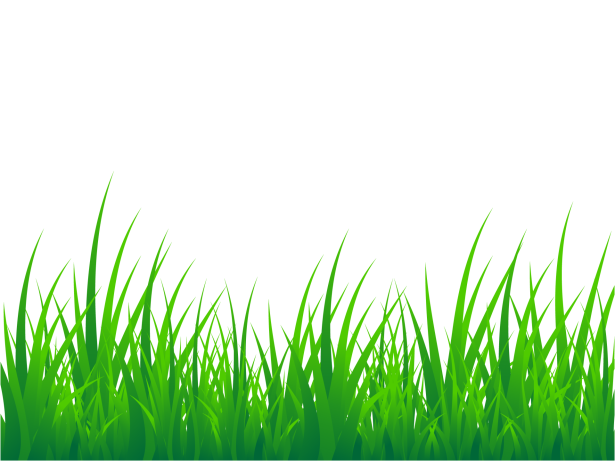 Grass Background Clipart Free Stock Photo - Public Domain Pictures