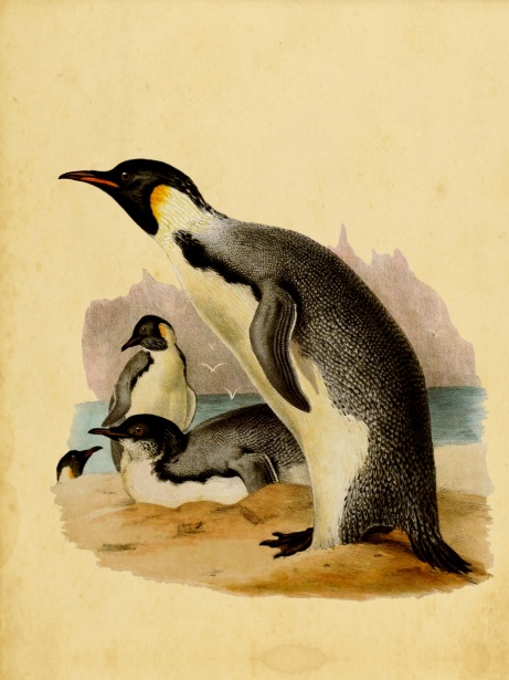 Vintage Penguin (@vpenguindev) / X