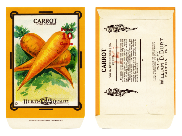 Seed Packet Vintage Carrots Free Stock Photo - Public Domain Pictures