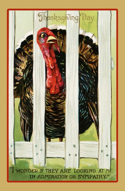 Thanksgiving Vintage Turkey Card Free Stock Photo - Public Domain Pictures