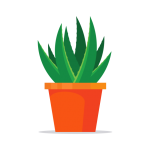Aloes Roślina Ilustracja Clipart