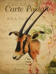 Antilop, Oryx Vintage képeslap