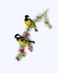 Birds Vintage Painting Clipart