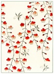 Flores sakura arte vintage
