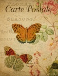 Cartolina d'arte vintage farfalla