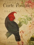 Cartão postal de pássaro vintage da caca