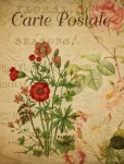 Cranes Bill Vintage Floral Postcard