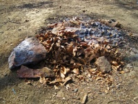 Elhullott levelek a kiégett szénen és ha