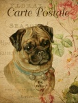 Pes Vintage květinová pohlednice