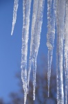 Icicles congelados de gelo de inverno