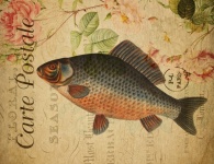 Cartão-postal vintage da carpa de peixe