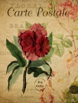 Carte postale d'art vintage de fleur