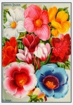 Bloemen Vintage Zaden Catalogus