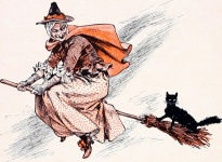 Gato vassoura de bruxa de halloween