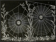 Halloween Spinnennetz Vintage alt