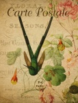 Cartão-postal floral vintage com colibri