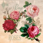 Arte vintage com rosas