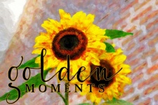 Poster de floarea-soarelui
