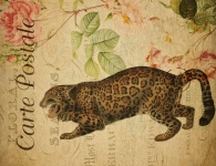 Cartão-postal floral vintage Jaguar