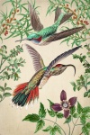 Cartaz de arte vintage com colibri