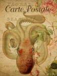 Octopus Vintage Art Print