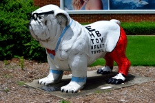 Painted Bulldog
