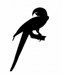 Parrot, Macaw Silhouette Clipart