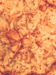 Pizza detail