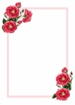 Cartão de convite floral de rosas