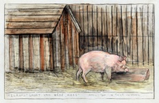 Pig Piglet Vintage Art
