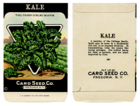 Paquete de semillas Vintage Kale