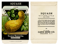 Pachet de semințe Vintage Squash