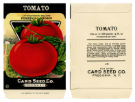 Paquet de graines de tomate vintage