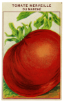 Paquete de Semillas Vegetales Vintage